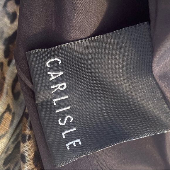 CARLISLE leopard print mock neck long long sleeve - Picture 9 of 10